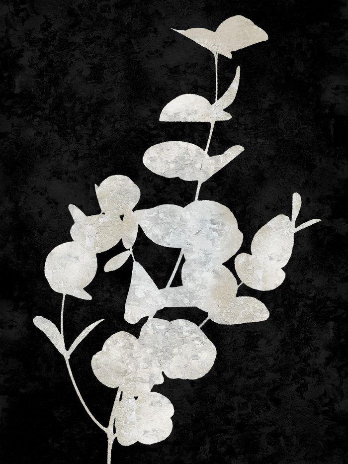 Nature White on Black I by Danielle Carson