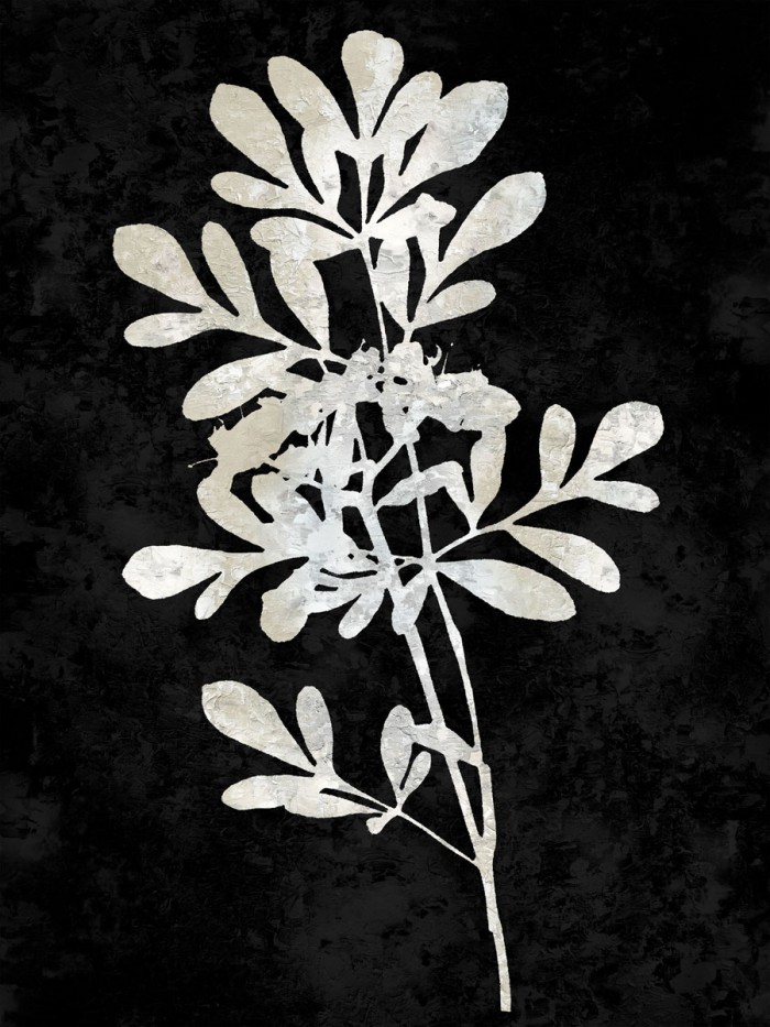 Nature White on Black II by Danielle Carson
