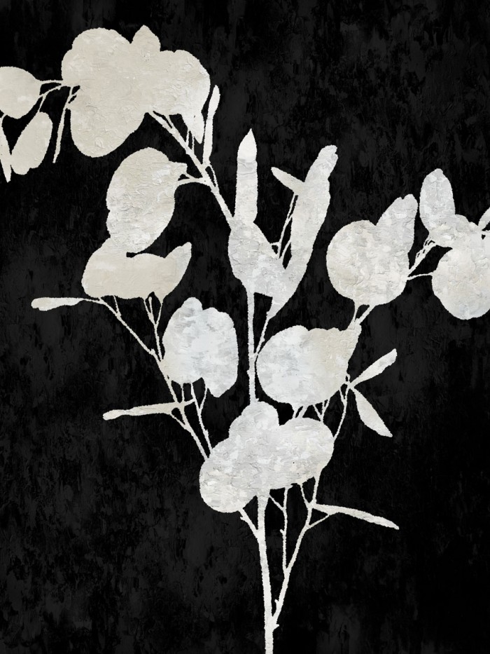 Nature White on Black III by Danielle Carson