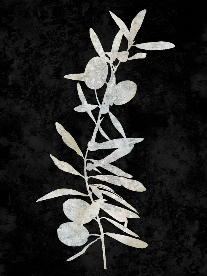Nature White on Black IV by Danielle Carson