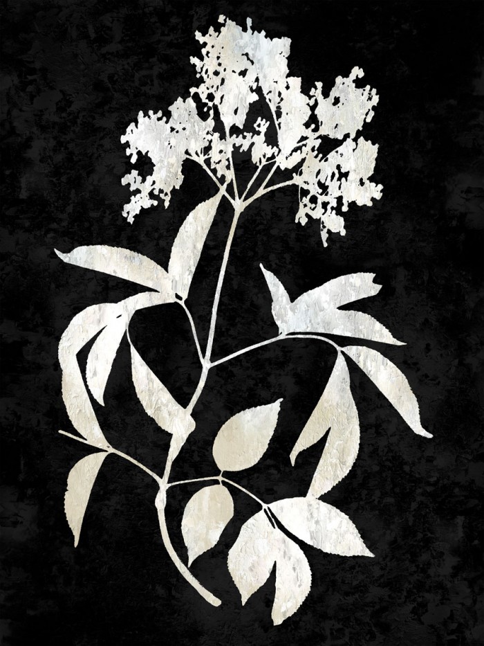 Nature White on Black V by Danielle Carson
