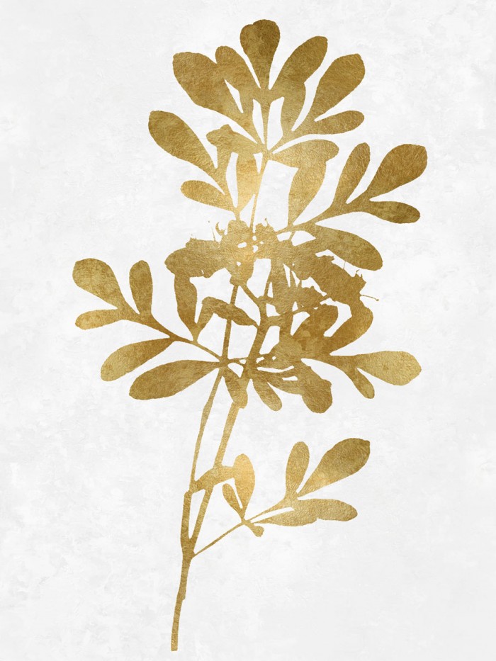 Nature Gold on White II by Danielle Carson