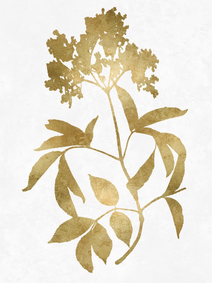 Nature Gold on White V by Danielle Carson