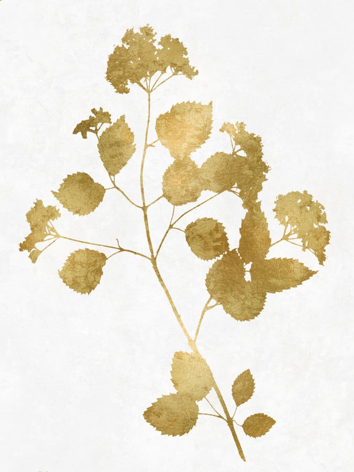 Nature Gold on White VI by Danielle Carson