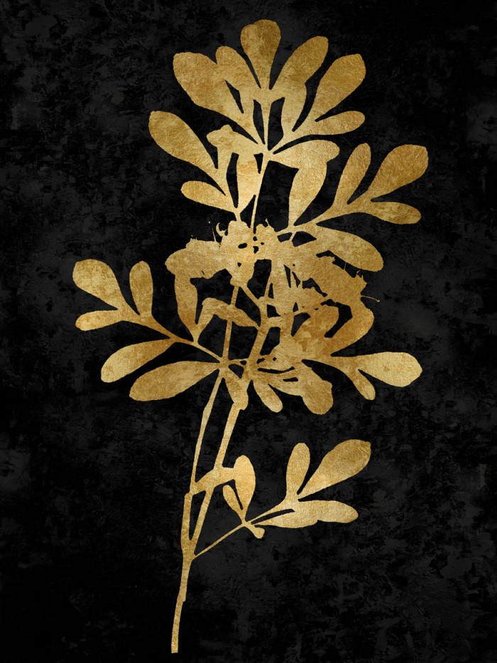 Nature Gold on Black II by Danielle Carson