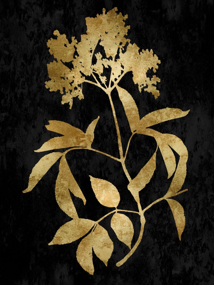 Nature Gold on Black V by Danielle Carson