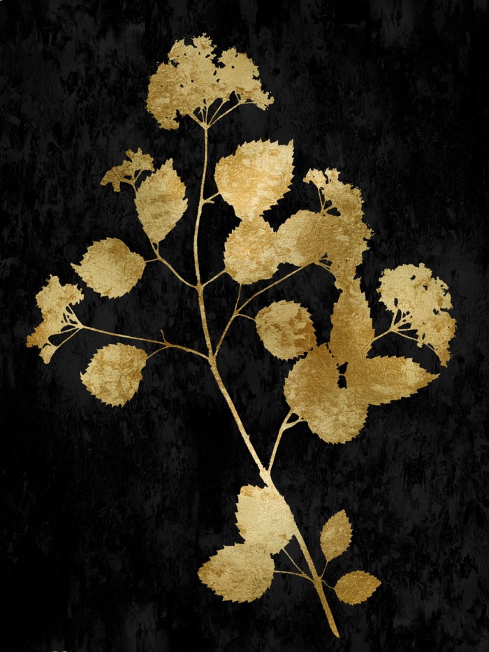 Nature Gold on Black VI by Danielle Carson