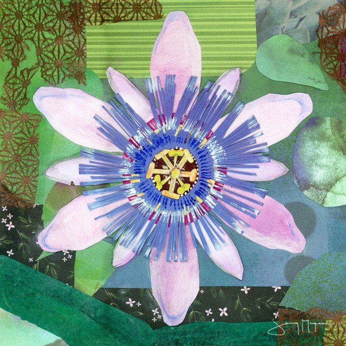 Passion Flower II by Jenny McGee