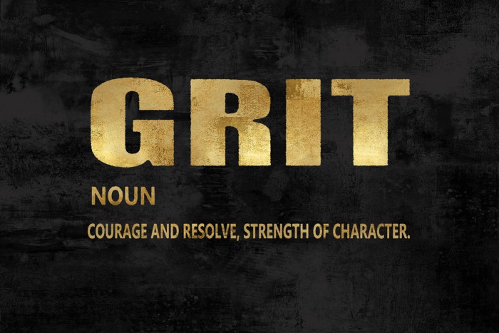 Grit in Gold by Jamie MacDowell