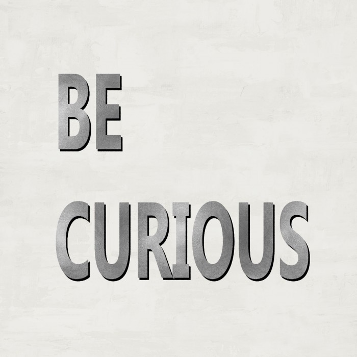 Be Curious by Jamie MacDowell