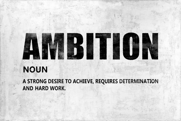 Ambition by Jamie MacDowell