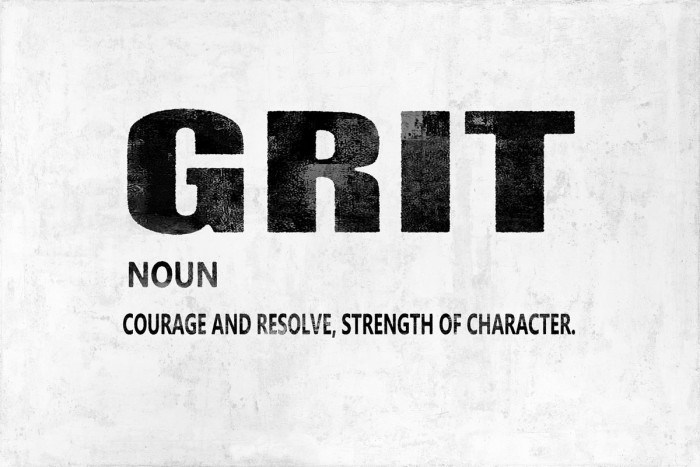 Grit by Jamie MacDowell