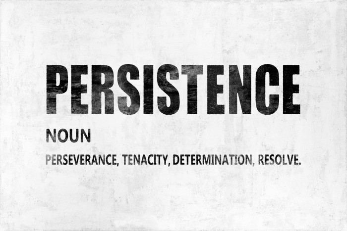 Persistence by Jamie MacDowell