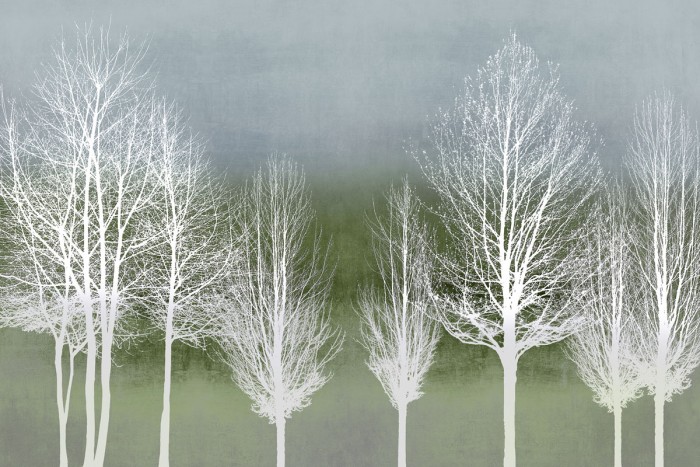 Trees on Green by Kate Bennett