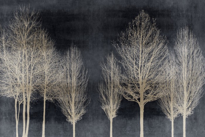 Trees on Dark Gray by Kate Bennett