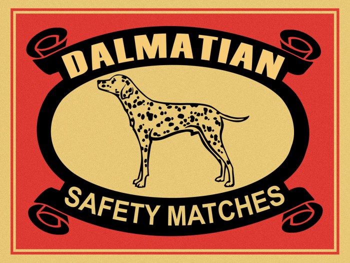 Dalmatian Safety Matches by Mark Rogan