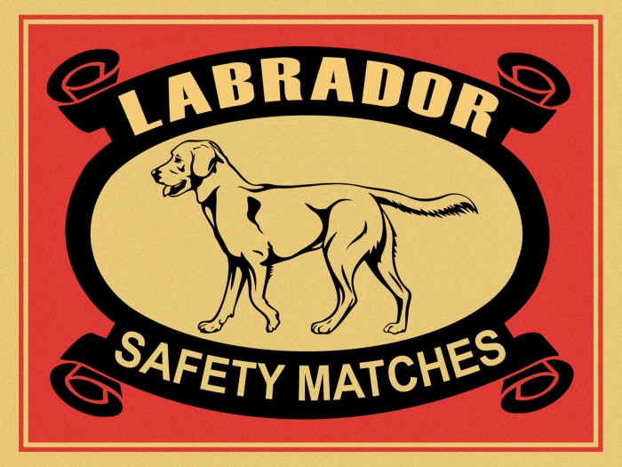 Labrador Safety Matches by Mark Rogan