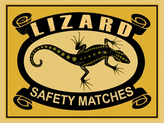 Lizard Safety Matches by Mark Rogan