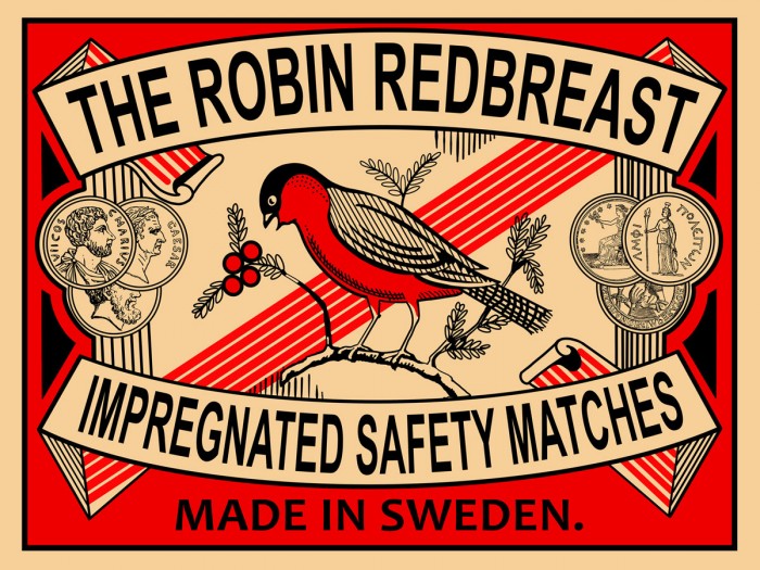 Robin Matches by Mark Rogan