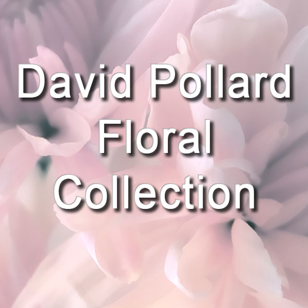 David Pollard Floral Collection
