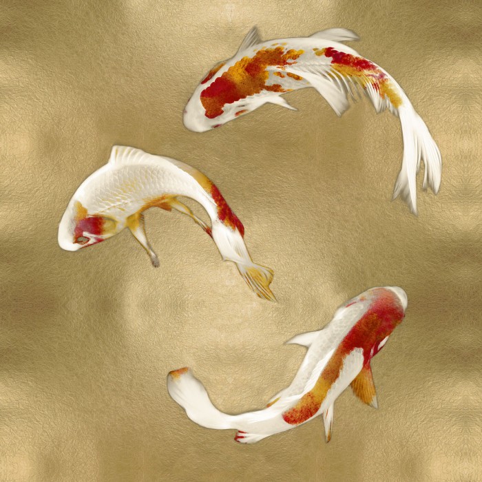 Koi on Gold I by Tina Blakely