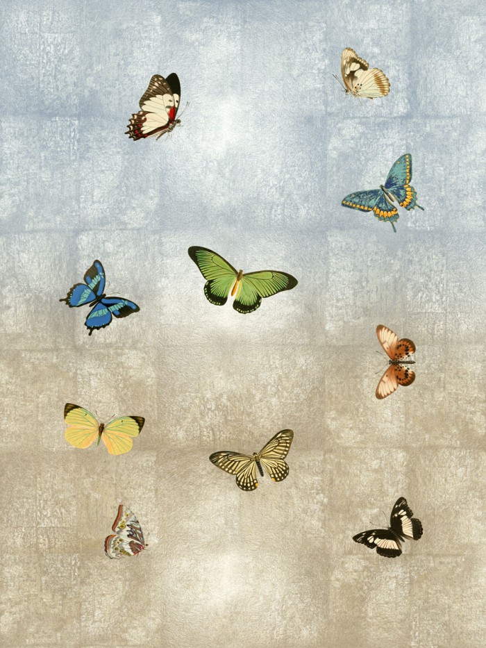 Butterflies Meet Up I by Tina Blakely