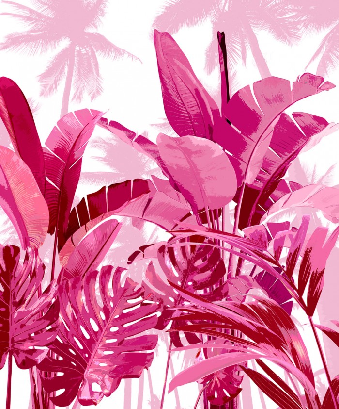Palm Forest Pink II by Kristen Drew