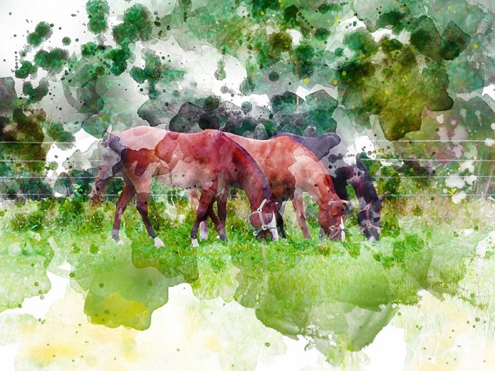 Grazing III by Chamira Young