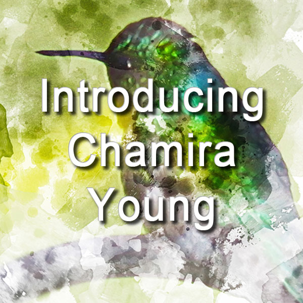 Introducing Chamira Young