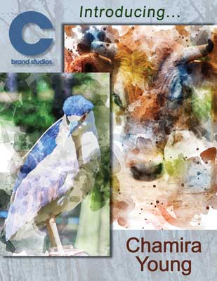 Introducing Chamira Young PDF Catalog